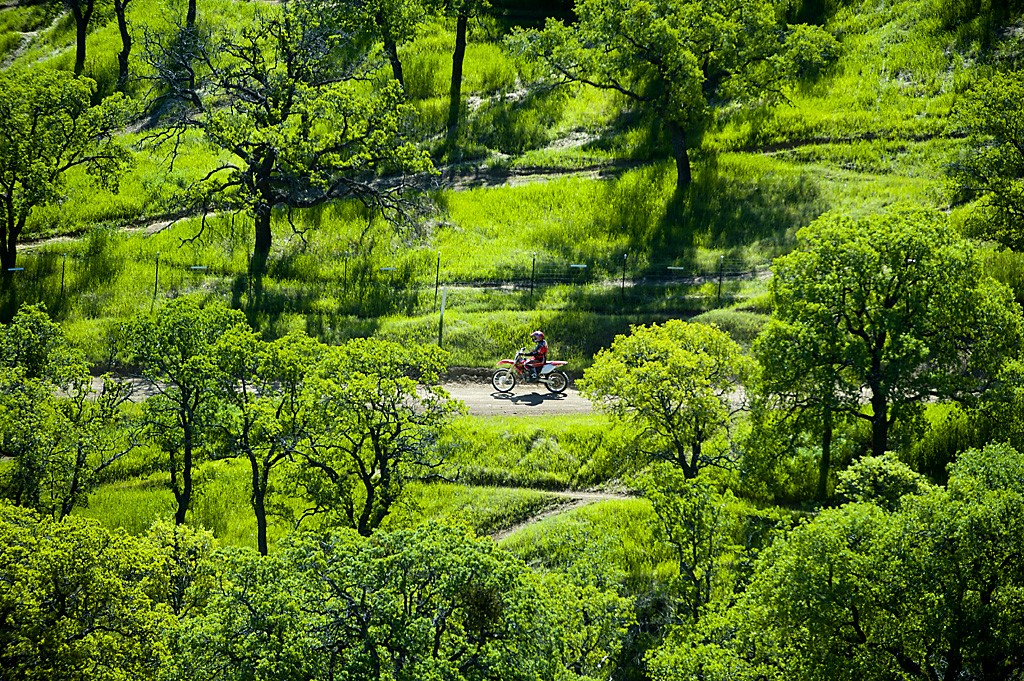 ATV and dirtbike on trail