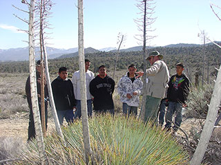Image of group of boys listening to an Interpretive specialist describe several Yucca plants with large flower shoots 10 feet tall